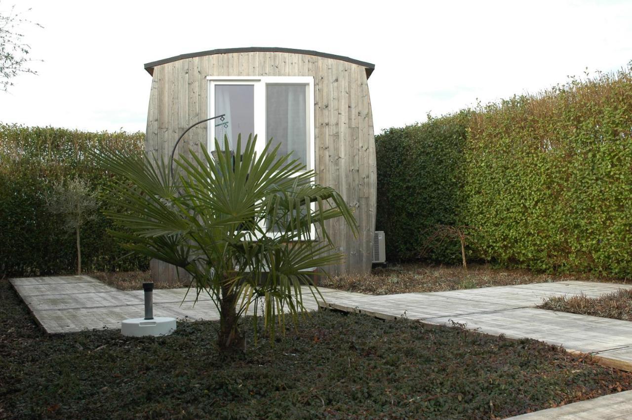 Twinkeling Lights Bed & Breakfast Kluisbergen Exterior photo