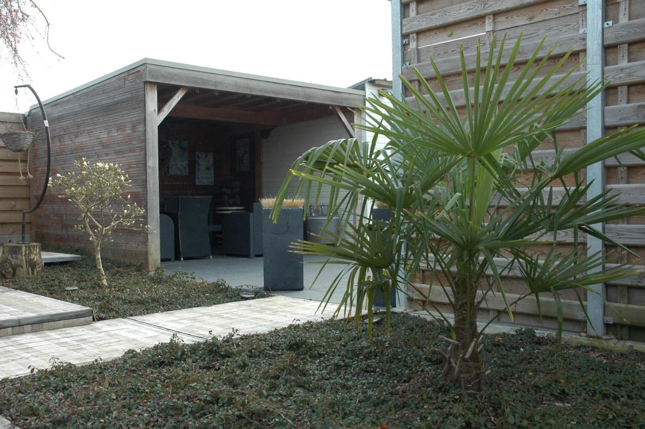 Twinkeling Lights Bed & Breakfast Kluisbergen Exterior photo